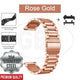 S.Steel - Rose Gold